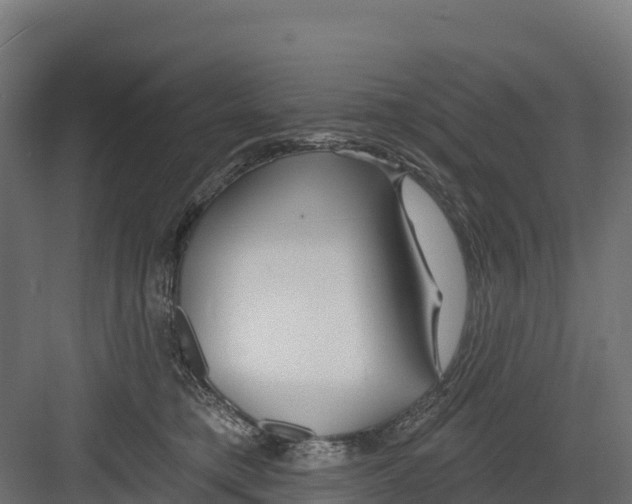 X0000082160421200702092222