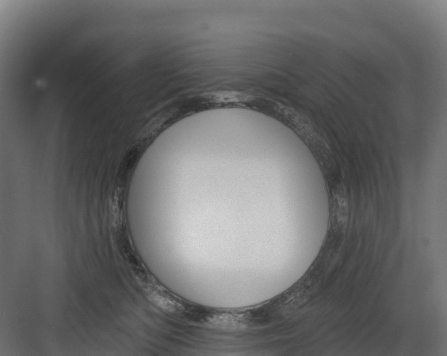 X0000082160422200702092222