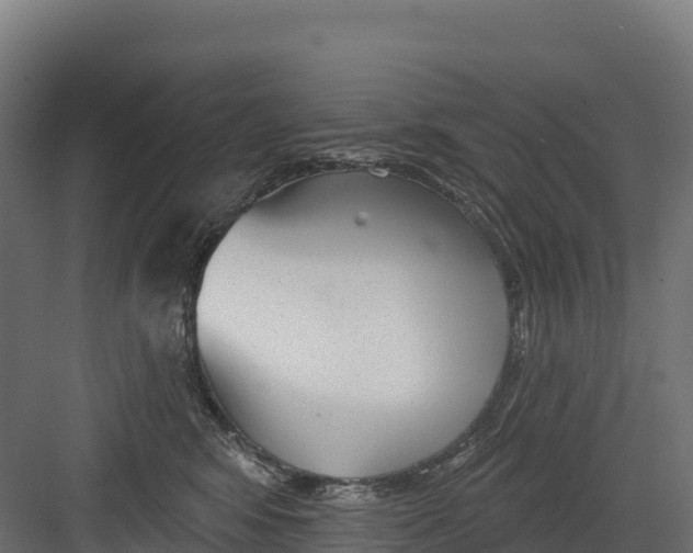 X0000082160424200702092222