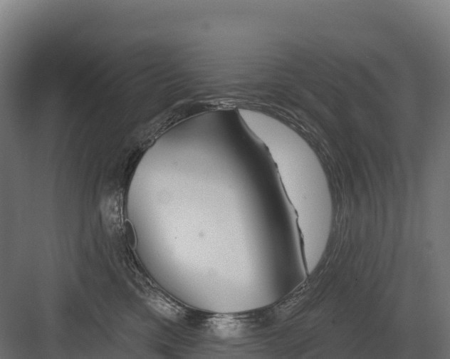 X0000082160425200702092222