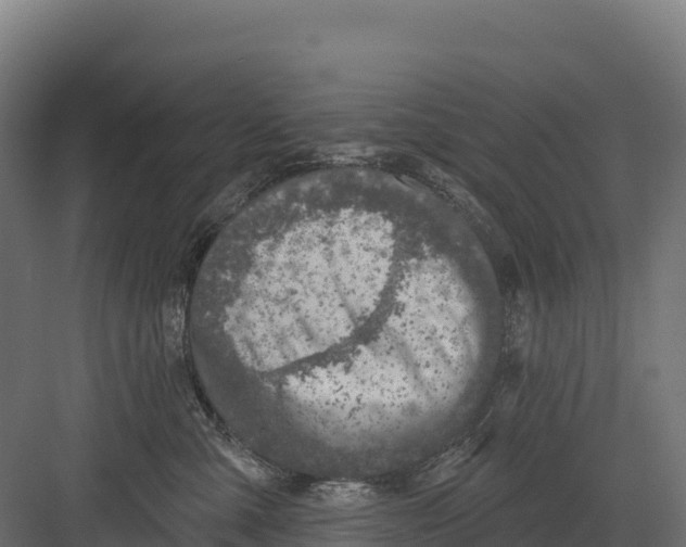 X0000082160427200702092222