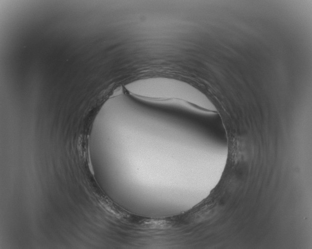 X0000082160428200702092222