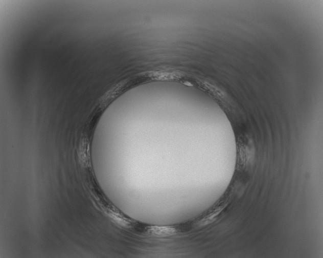 X0000082160429200702092222