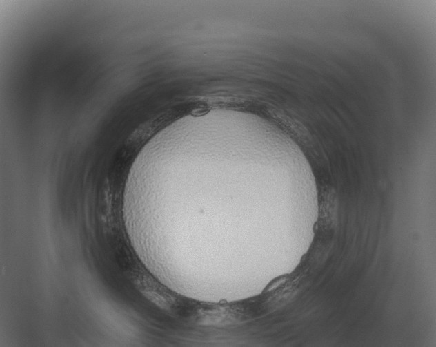 X0000082160430200702092222