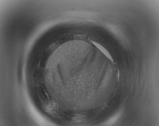 X0000082160431200702092222