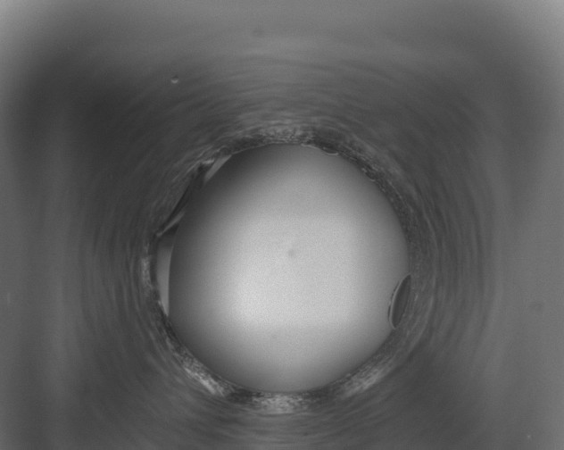 X0000082160432200702092222