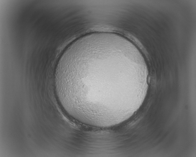 X0000082160433200702092221