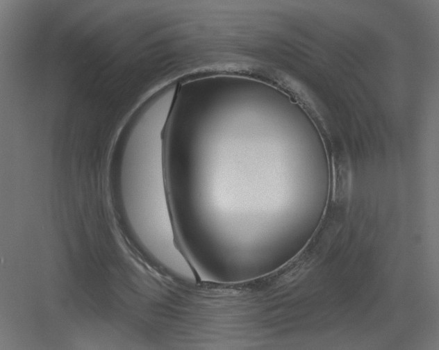 X0000082160435200702092222