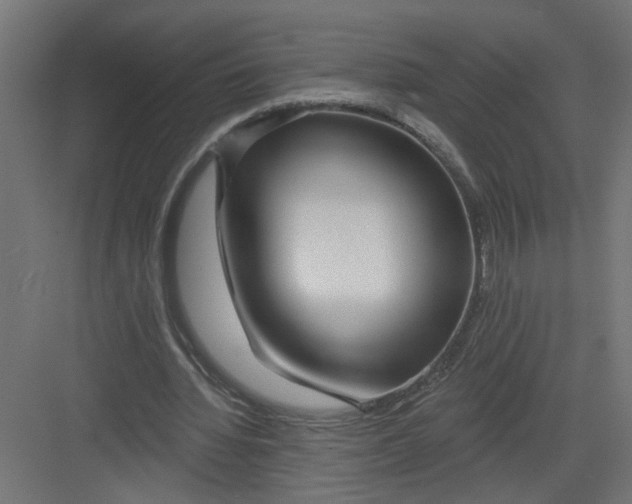 X0000082160436200702092222