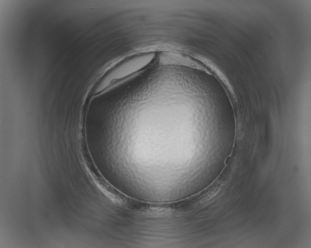 X0000082160437200702092222