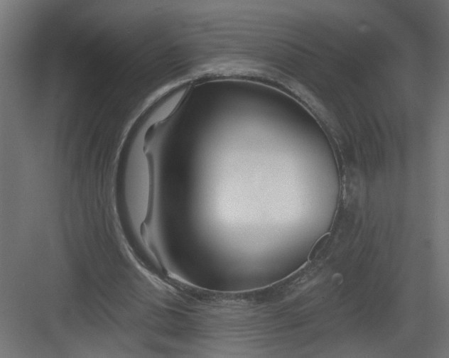 X0000082160438200702092222