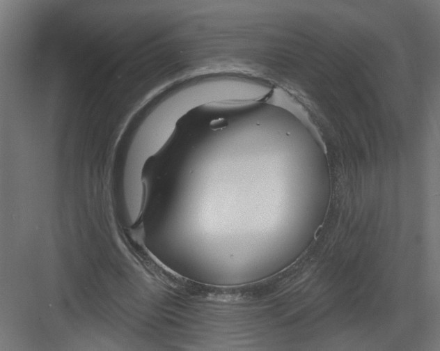 X0000082160440200702092222