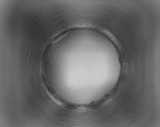 X0000082160441200702092222