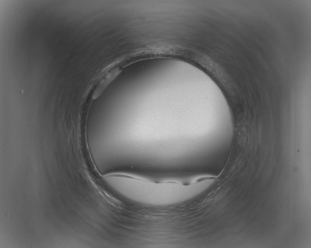 X0000082160442200702092222