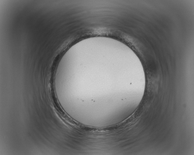 X0000082160443200702092222