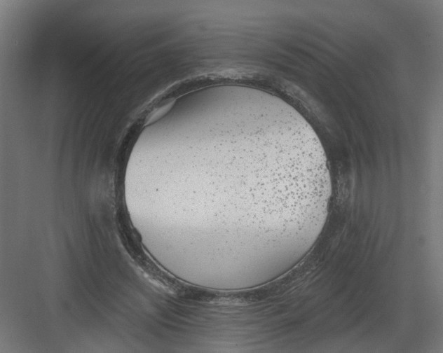 X0000082160444200702092222