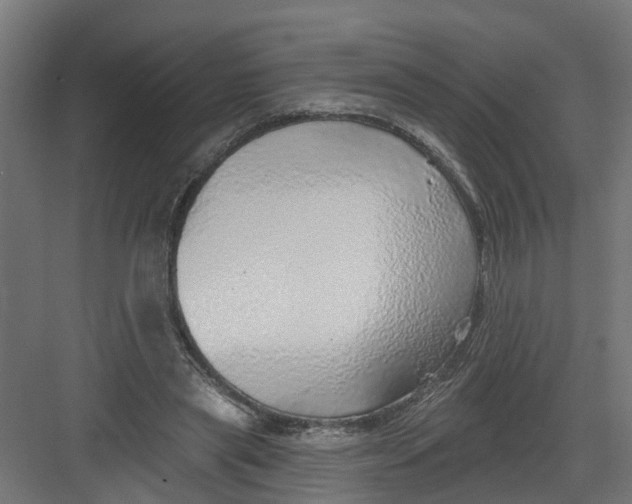 X0000082160445200702092222