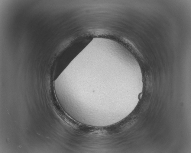 X0000082160447200702092222