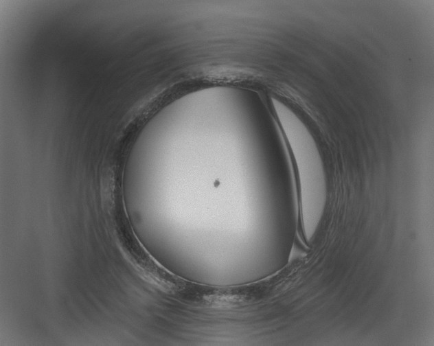 X0000082160448200702092222