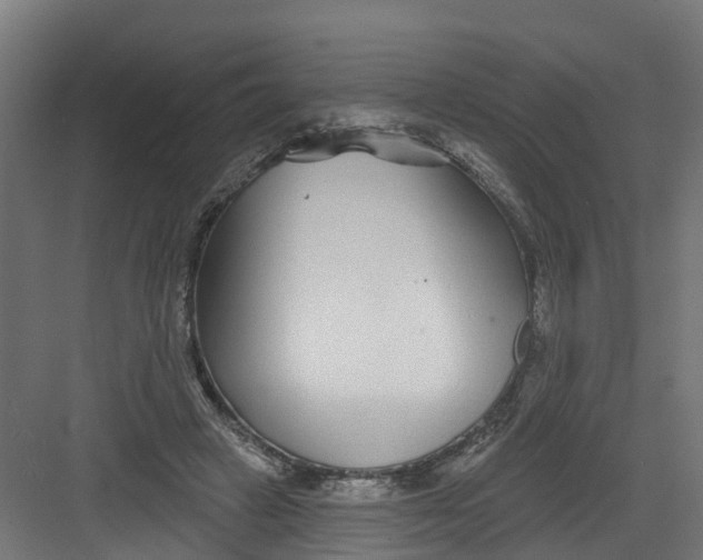 X0000082160449200702092222