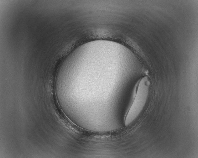 X0000082160450200702092222