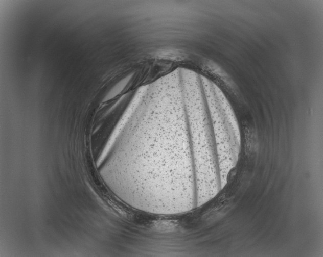 X0000082160451200702092222