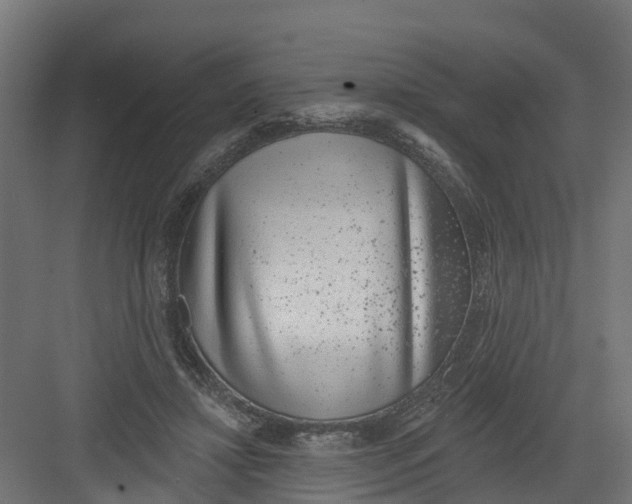 X0000082160452200702092222