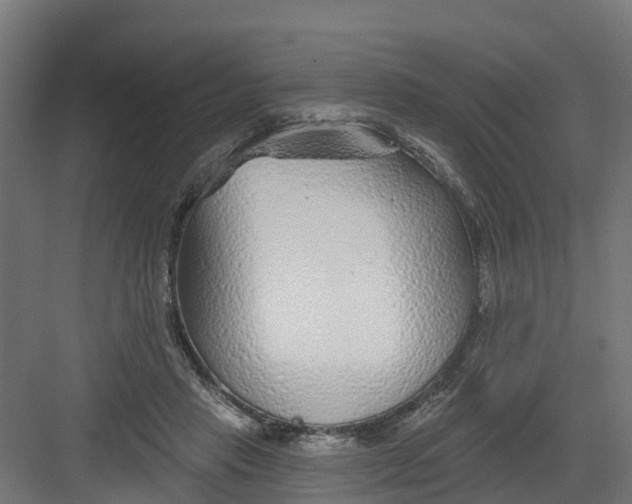 X0000082160453200702092222