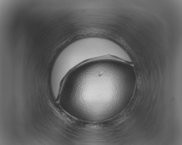 X0000082160454200702092222