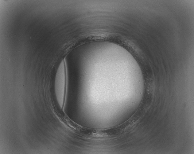 X0000082160455200702092222