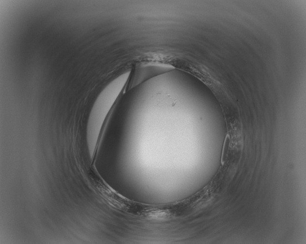 X0000082160456200702092222