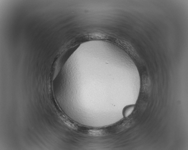 X0000082160457200702092222