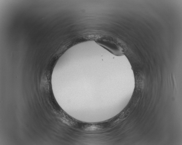 X0000082160460200702092222