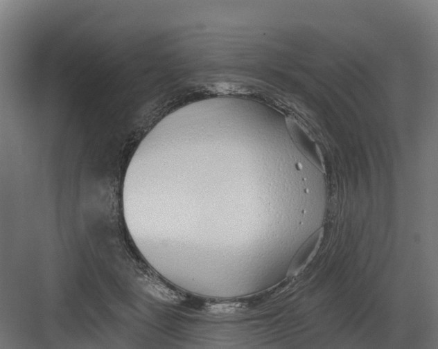 X0000082160461200702092222