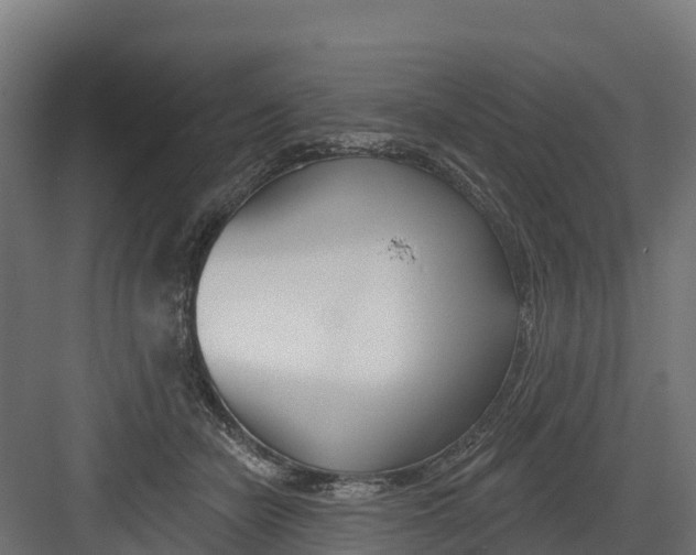 X0000082160462200702092222