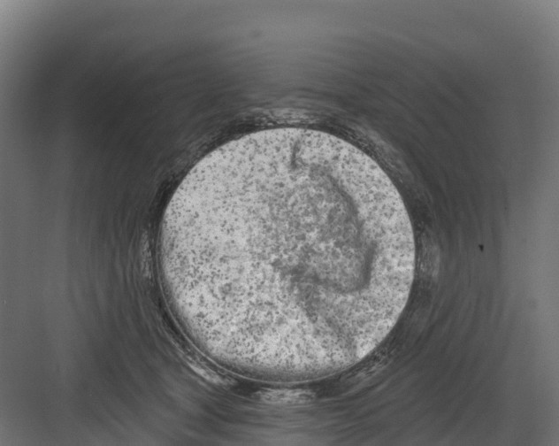 X0000082160465200702092222