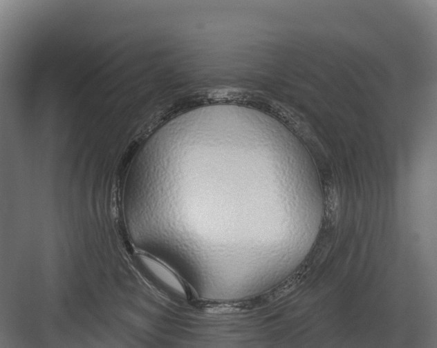 X0000082160470200702092222