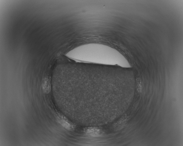 X0000082160471200702092222