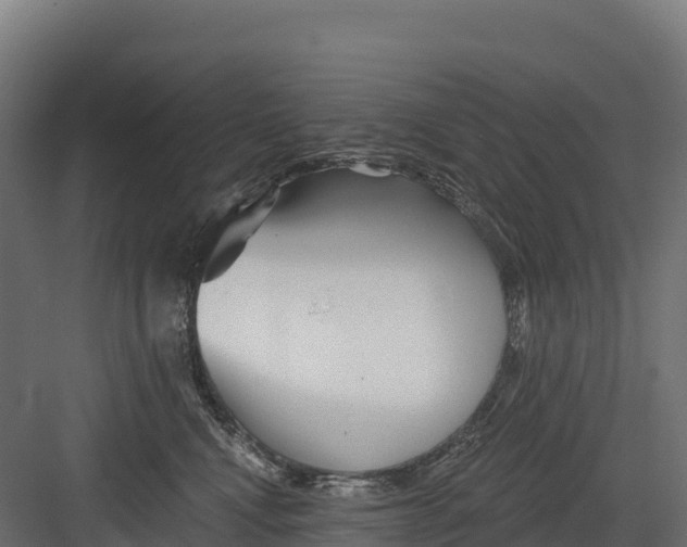 X0000082160472200702092222