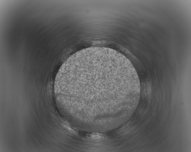 X0000082160475200702092222