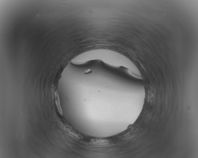 X0000082160476200702092222