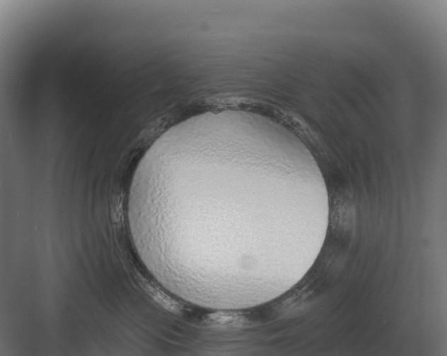 X0000082160477200702092222