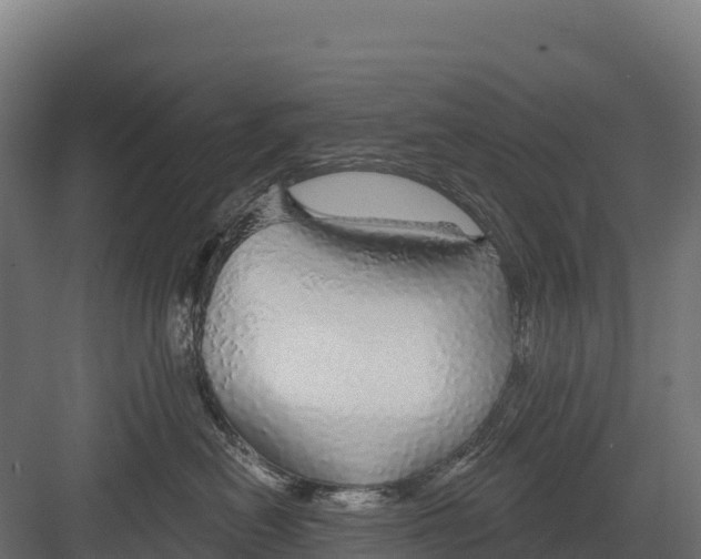 X0000082160478200702092222