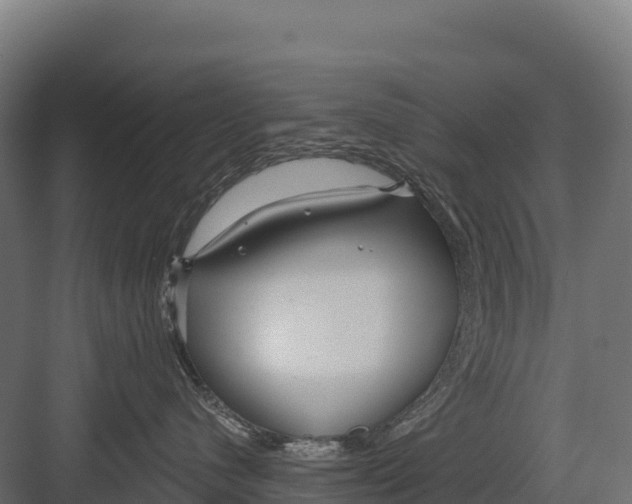 X0000082160480200702092222