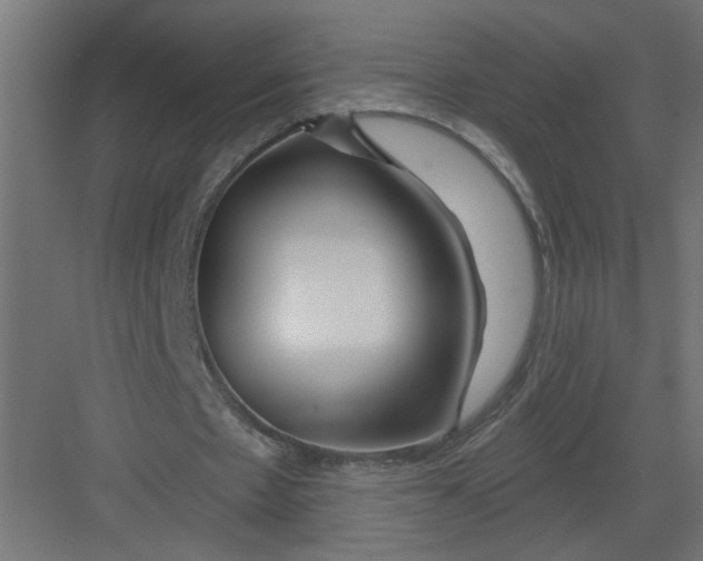 X0000082160481200702092221