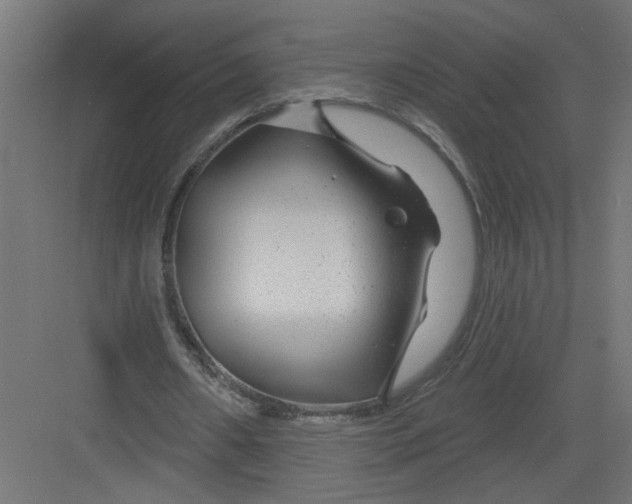 X0000082160482200702092221