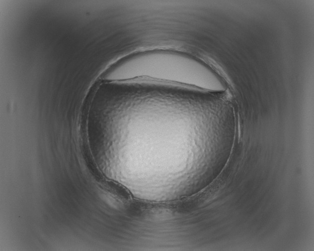 X0000082160483200702092221