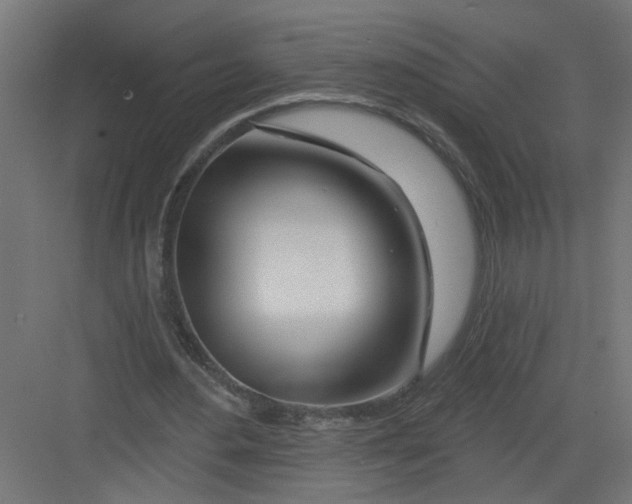 X0000082160484200702092221