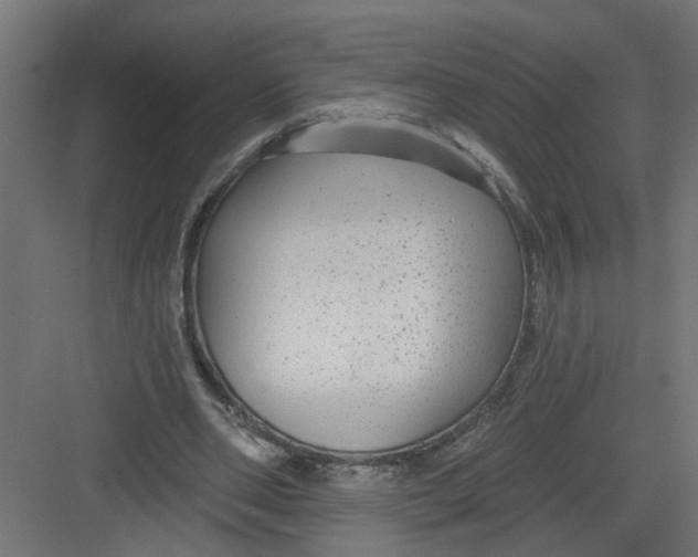 X0000082160486200702092221