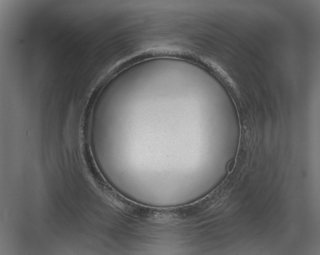 X0000082160487200702092221